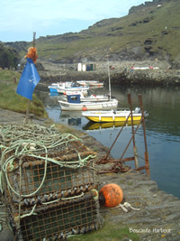 Boscastle Harbour